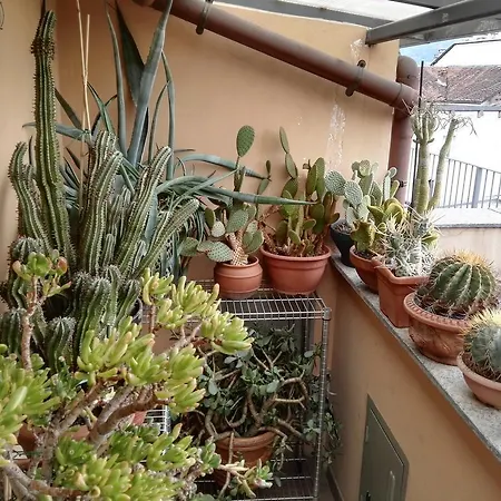 A Casa Di Gio Bed & Breakfast