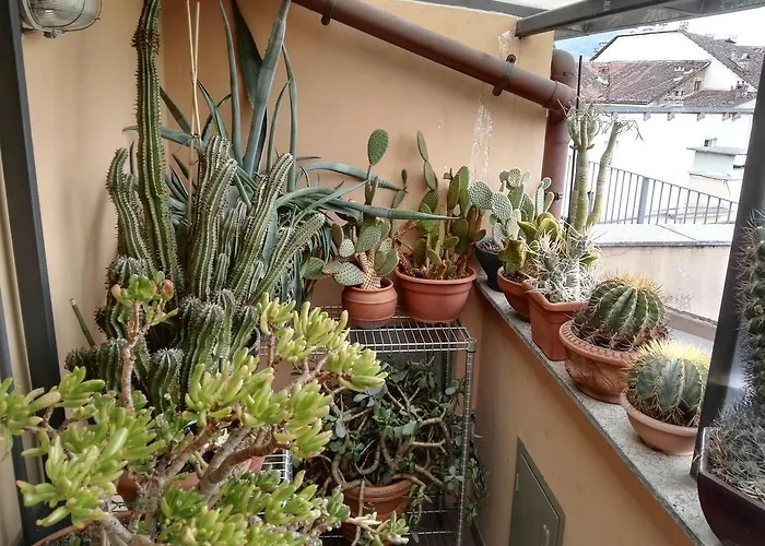 A Casa Di Gio Bed & Breakfast